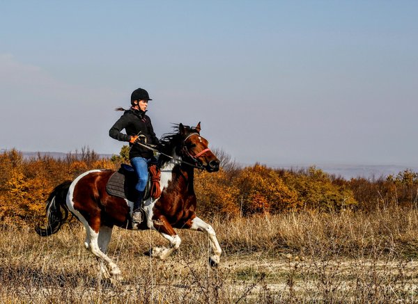 Quels sont les avantages de louer une maison de vacances en Bretagne avec des cours de cuisine et des balades à cheval?